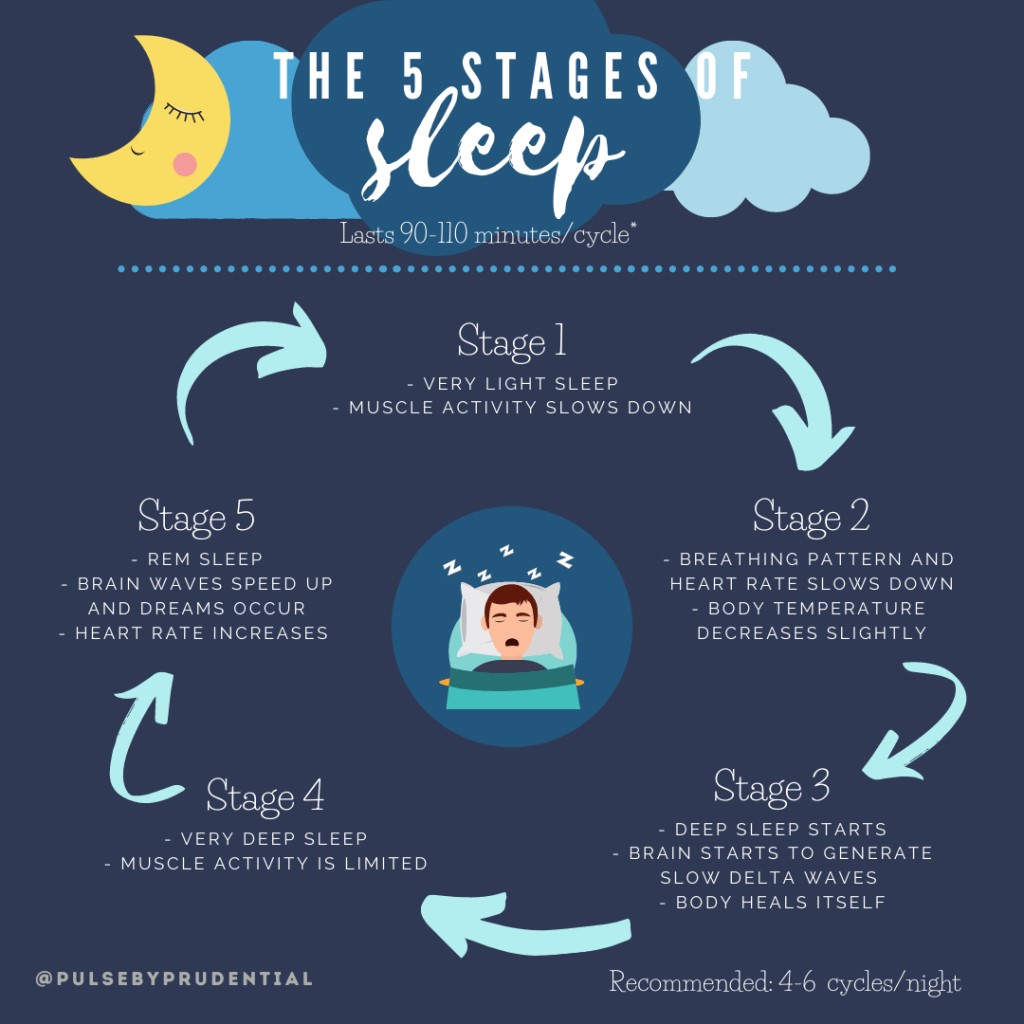 Sleep Goals Understanding Your Sleep Cycle
