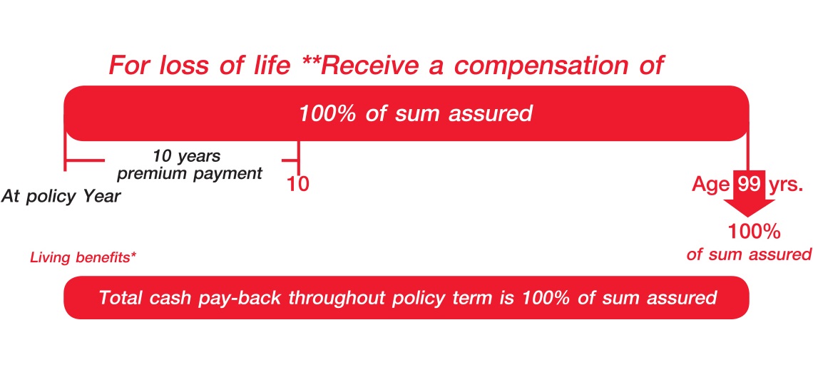 Build Whole Life Insurance Build Whole Life Insurance
