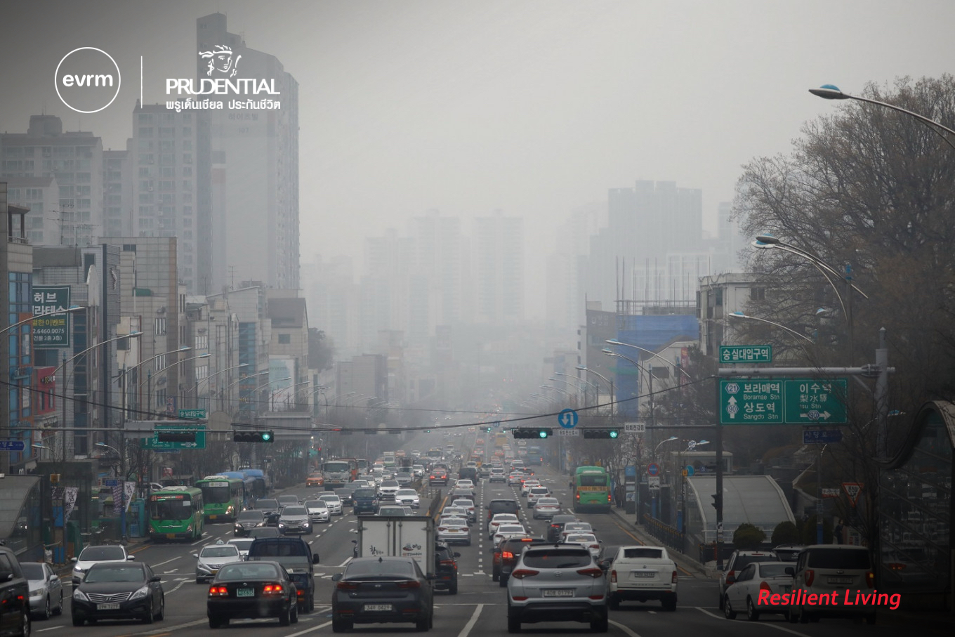 เกาหลีใต้ เกาหลีใต้