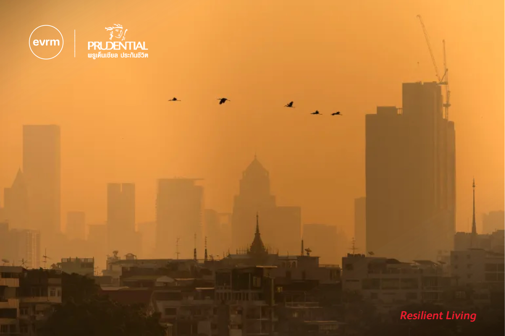 ประเทศไทย ประเทศไทย