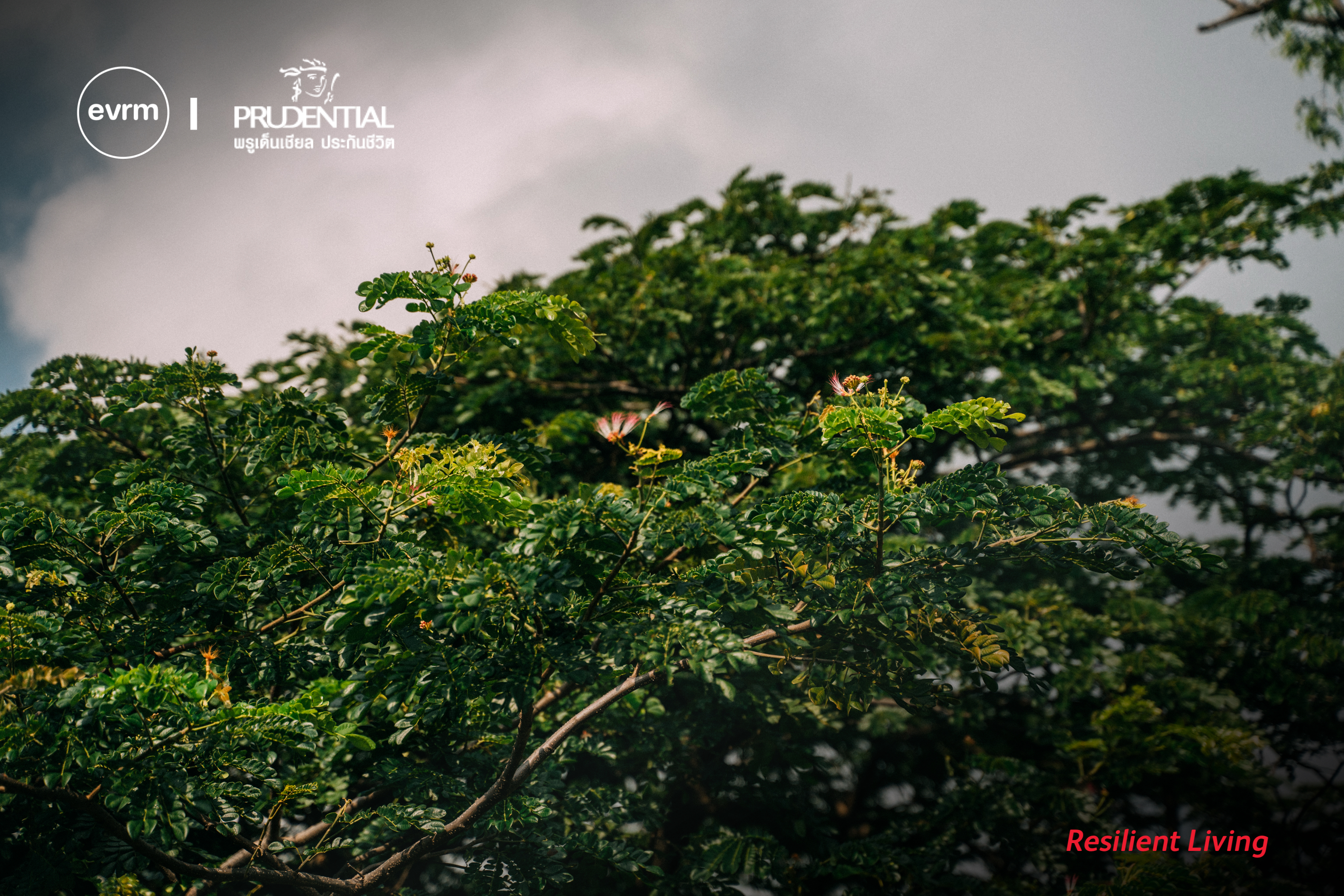 แม้อากาศจะเปลี่ยนไป แต่สุขภาพกายใจต้องไม่เปลี่ยนตาม