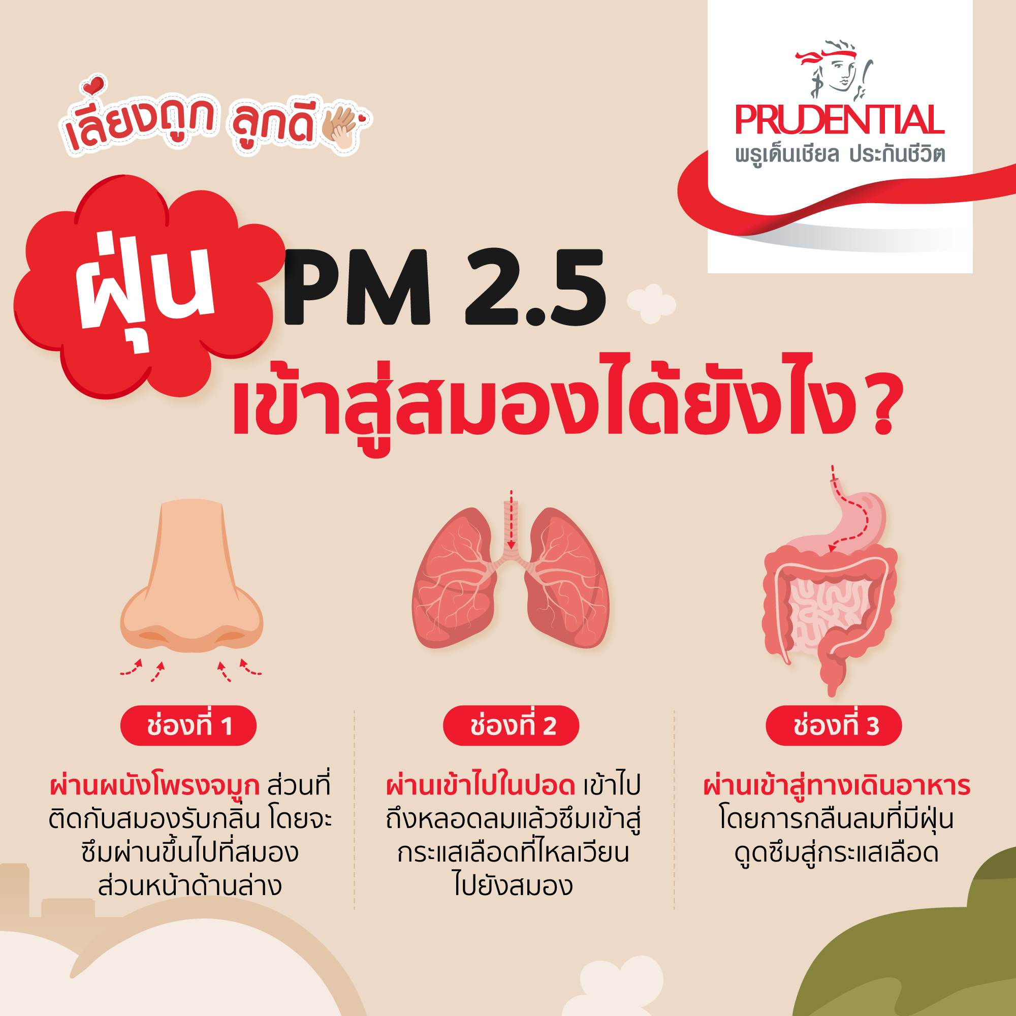 แพ้ฝุ่น pm 2.5 อาการ​