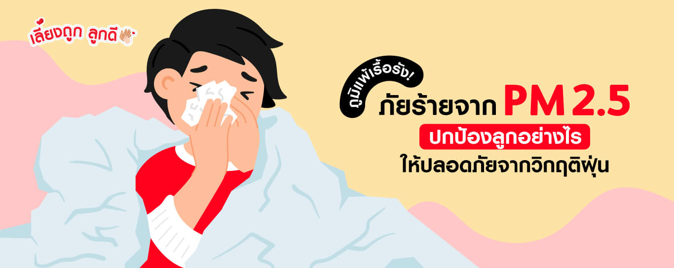 ภูมิแพ้เรื้อรัง! ภัยร้ายจาก PM 2.5