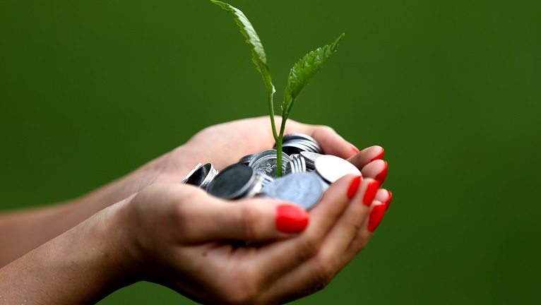 A lady holding a plant that is on a stack of coins
