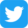 icon Twitter
