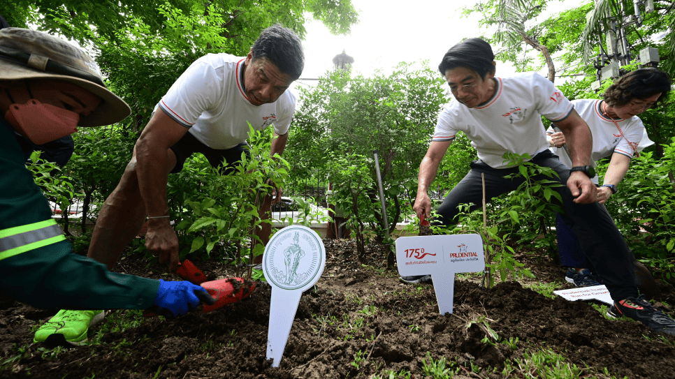 Prudential Thailand Run for Growth